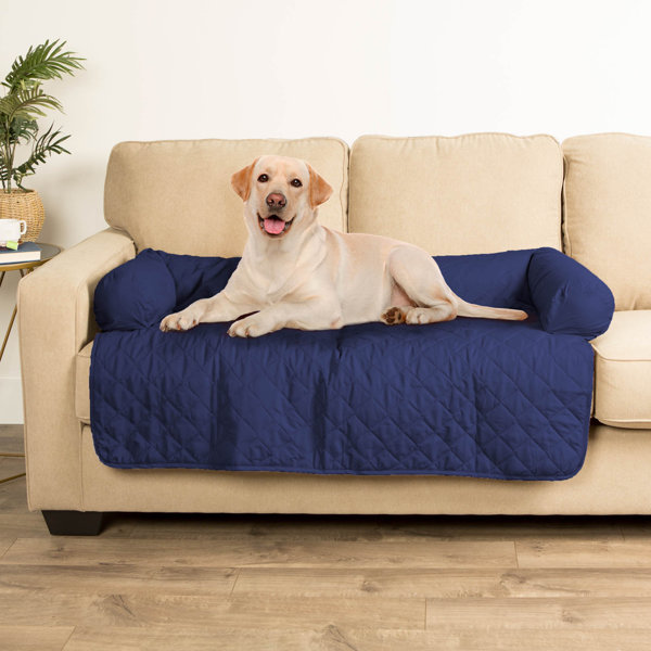 Red Barrel Studio® Aolany Bolster Pet Sofa Slipcover & Reviews Wayfair